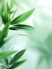 A stylish vertical backdrop featuring a close-up of softly blurred green plants creates a serene, refreshing atmosphere with natural textures.