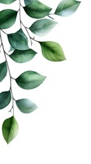 Branches adorned with vibrant leaves against a white background, exuding youthful vitality. 32k UHD, Flickr, hanging scroll.
