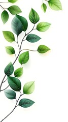 Branches adorned with vibrant leaves against a white background, exuding youthful vitality. 32k UHD, Flickr, hanging scroll.
