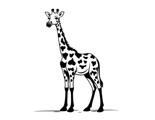 Obraz premium Drawing of a cute giraffe, for coloring for example