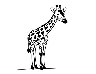 Naklejka premium Drawing of a cute giraffe, for coloring for example
