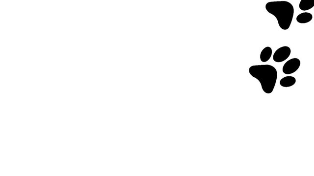 Cartoon comic funny paws footprints animal walking animation on white screen.	