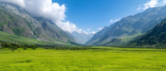  A valley surrounded by mountains, featuring a verdant field in the foreground where cows graze