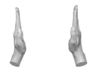 Hands shows virtual holding something isolated on transparent background. Contemporary art