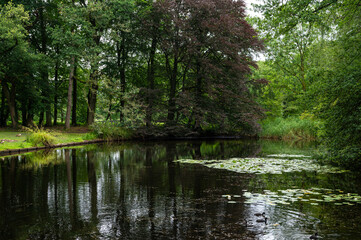 Reflecting water ponds at the Alten Weide and Höpkens Ruh Park in Bremen, Germany