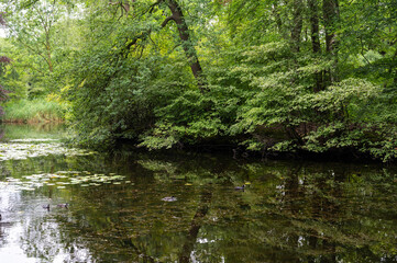 Reflecting water ponds at the Alten Weide and Höpkens Ruh Park in Bremen, Germany