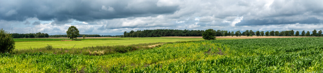 Panoramic view over agriculture fields at the German countryside around Vorwerk, Lower Saxony, Germany