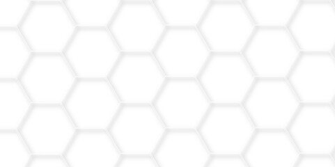 Abstract minimal geometric white and gray light background design. Vector illustration of hexagons pattern. luxury white pattern geometric mesh cell texture. Modern pattern elegant gold line template