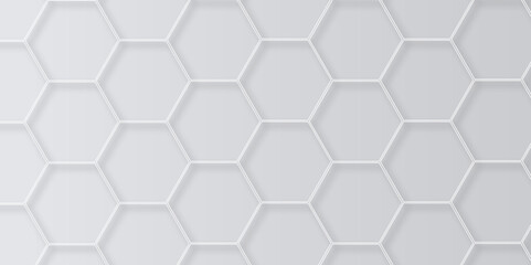Abstract minimal geometric white and gray light background design. Vector illustration of hexagons pattern. luxury white pattern geometric mesh cell texture. Modern pattern elegant gold line template
