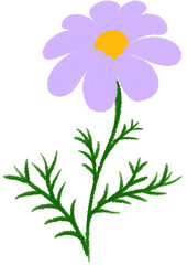 purple mexican aster