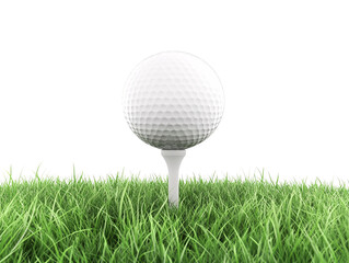 a golf ball on a tee in the grass