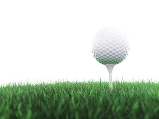 a golf ball on a tee in the grass