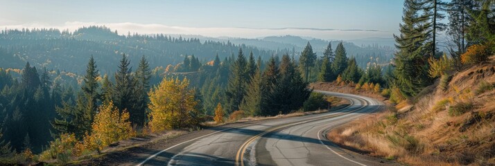 Golden autumn foliage adorns a winding road through the Pacific Northwests evergreen forests under a clear October sky providing ample space for text