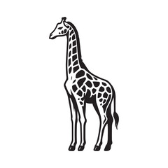Naklejka premium Giraffe Outline Design, Giraffa Clipart, A Quiet Observer Giraffe Illustration black and white 