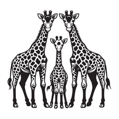 Fototapeta premium Giraffe Outline Design, Giraffa Clipart, Giraffe Family Illustration black and white 