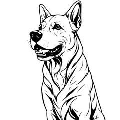 dog setting 
