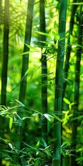 Lush green bamboo forest bathed in soft sunlight with delicate leaves swaying gently in the breeze
