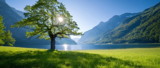  A solitary tree in the heart of a green meadow, framed by distant mountains and a serene lake in the foreground