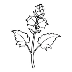 Flower Drawing Silhouette Design Vector Illustration Clipart Eps