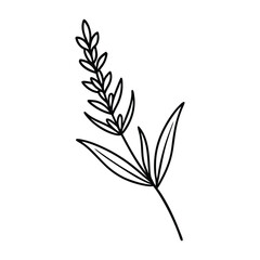 Flower Drawing Silhouette Design Vector Illustration Clipart Eps