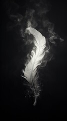Fire burning black feather white smoke lightweight.