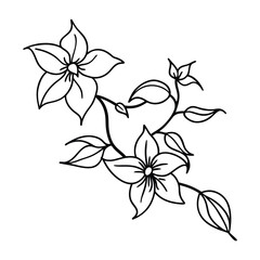 Flower Drawing Silhouette Design Vector Illustration Clipart Eps