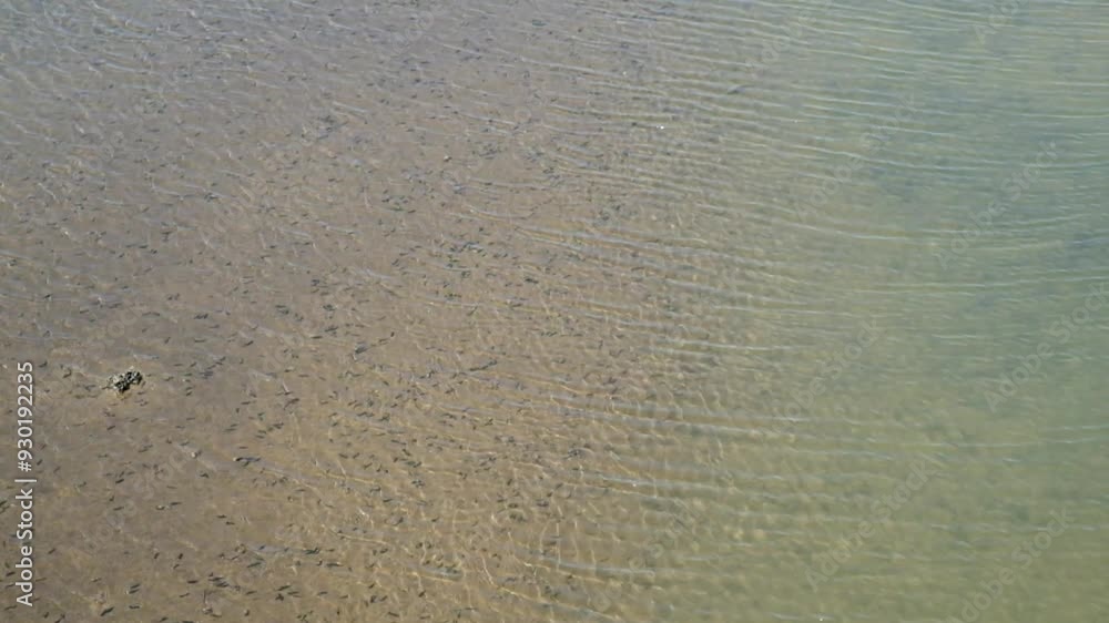 Poster sparkling river water with abstract shapes, patterns and textures. the movement of clear river waves