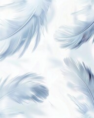 Obraz premium Soft blue feathers delicately drifting against a subtle white background in tranquil light