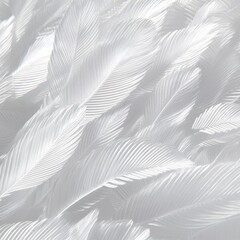 Soft white feathers