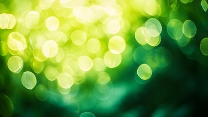 Fototapeta premium Abstract Green Bokeh Background with Light Spots.