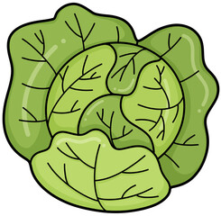 Cabbage Doodle Outline Illustration in Soft Colors, Fresh and Fun Artwork