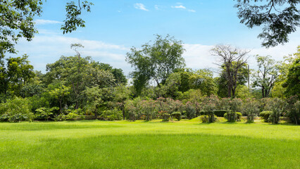 Scenic view of the park with green grass field in city and a cloudy blue sky background. Beautiful green park