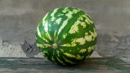 Green watermelon on the background of a gray wall
