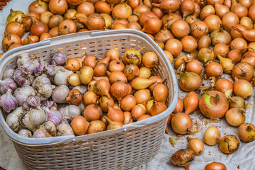 Basket with onions and garlic after harvest, vegetable picking and agriculture