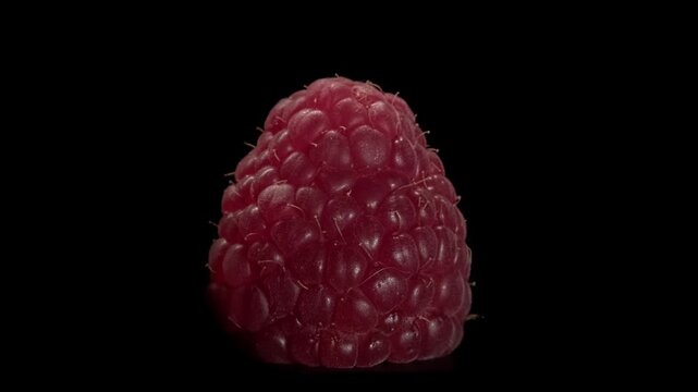 Close-up of ripe raspberries on a black background.