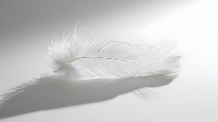Obraz premium Single white feather, delicate texture, soft and fluffy, pure white background, copy space for text, minimalist composition, high resolution, macro photography.