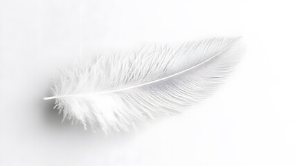 Obraz premium Single white feather, delicate texture, soft and fluffy, pure white background, copy space for text, minimalist composition, high resolution, macro photography.