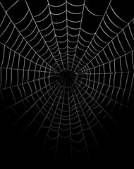 Fototapeta premium Close-up of a spiderweb