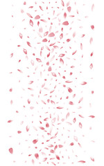 1600x2560-08__Pudra_sakura2_01.eps