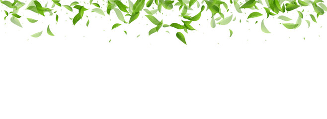 Leaves_Vortex_Flying_Vector_Background_79.eps