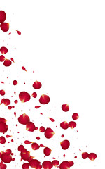 Red_Rose_Petal_Vector_Background_67.eps