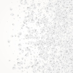 White_petals_gray_background_703.eps