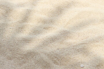 Selective focus of summer and holiday backgrounds concepts with shadow of coconut leaf