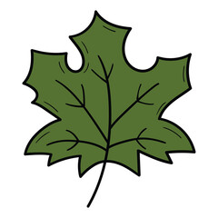 Hand drawn cartoon green maple leaf on white background.
