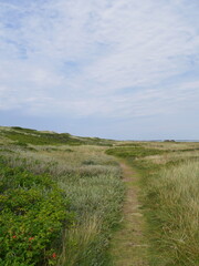 Fototapeta premium Dänemark - Landschaft