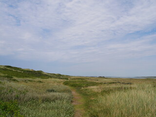 D&auml;nemark - Landschaft