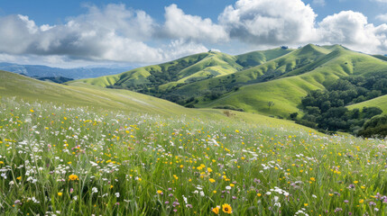 Fototapeta premium Rolling hills covered in green grass and dotted with wildflowers under a bright summer sky