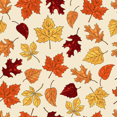 Autumn leaffall pattern seamless colorful