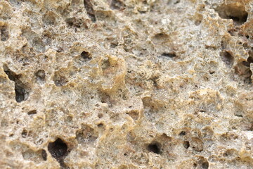 natural texture of cliffs on the seashore