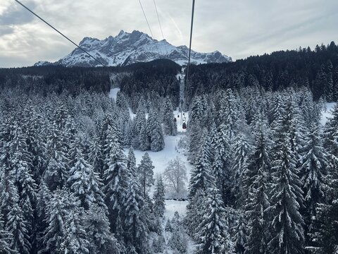 View of snow capped evergreen forest on the gondola ride up to Mount Pilatus in Switzerland